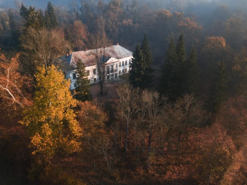 Traseul Arborilor – Petriș